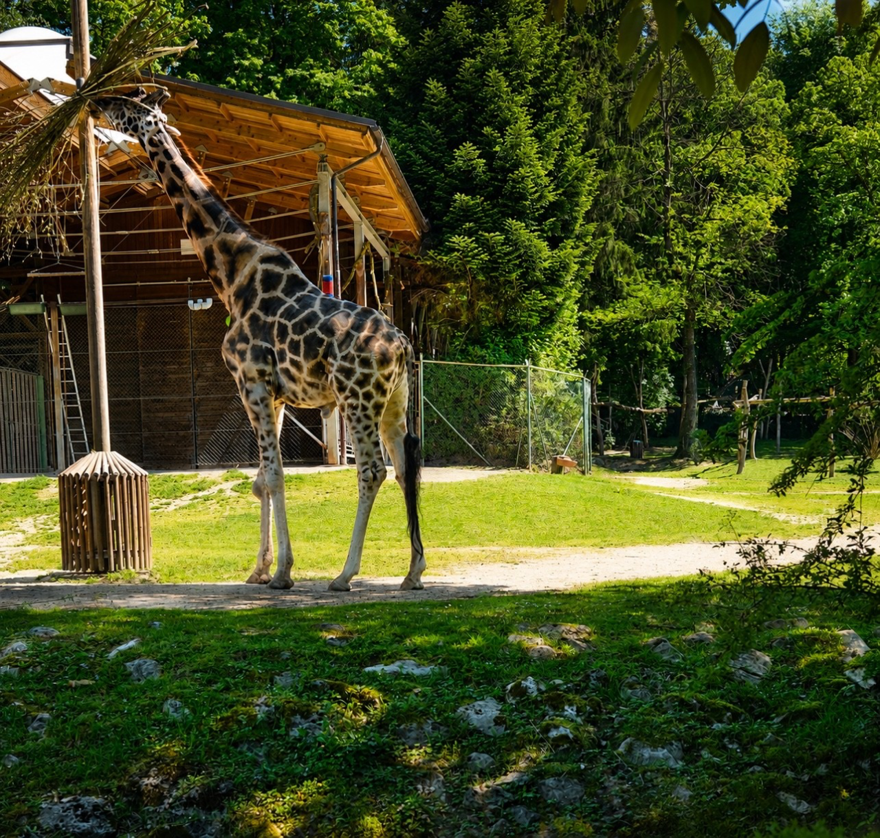 Zoološki vrt Ljubljana