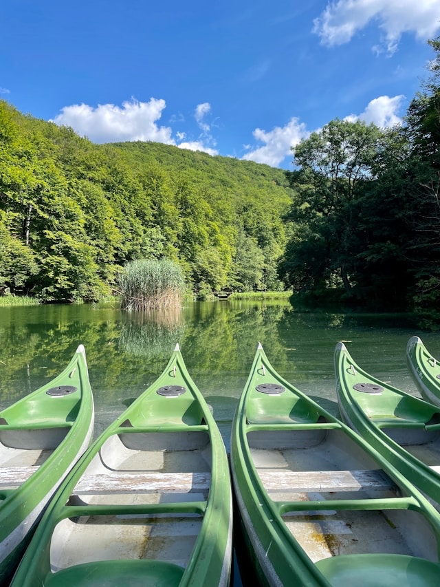 Park-šuma Jankovac