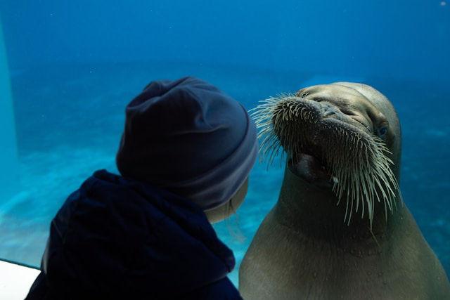 Zoo Slovenija: 5 najboljih zooloških vrtova