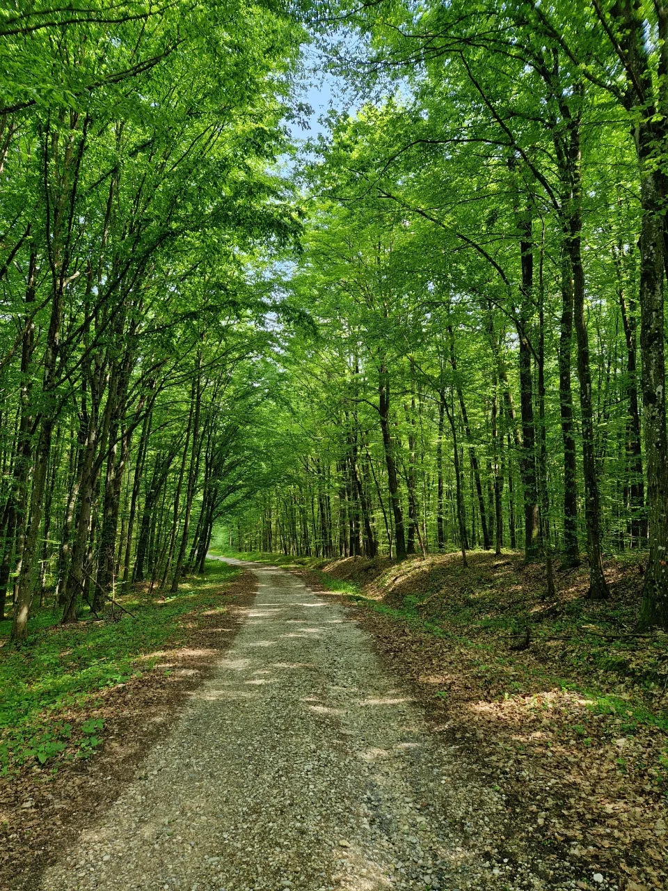 Poučna staza Šumarica